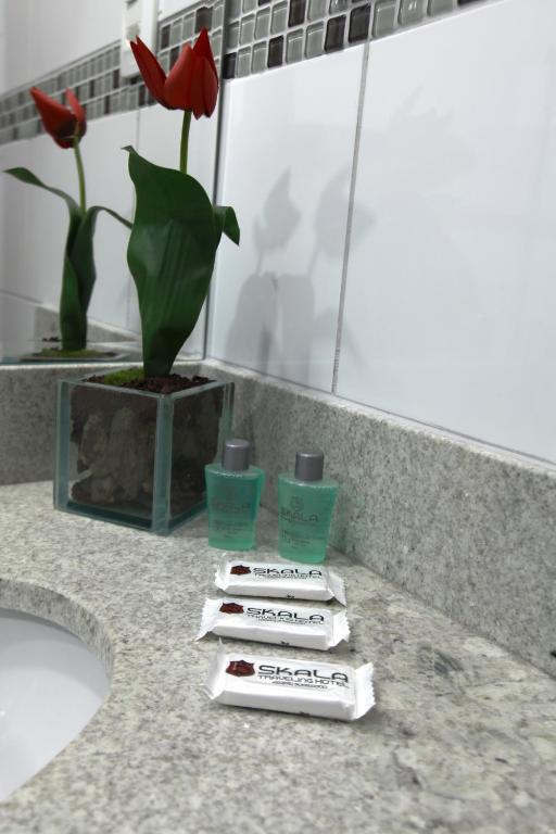Skala Traveling Hotel Cuiaba  Ngoại thất bức ảnh